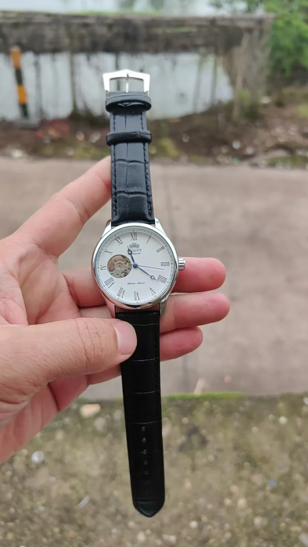 DFDG Mechanisch Skeletuurwerk  - Seiko Watch Presage recensie en prijs